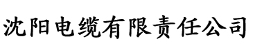 美女在线大香蕉电缆厂logo